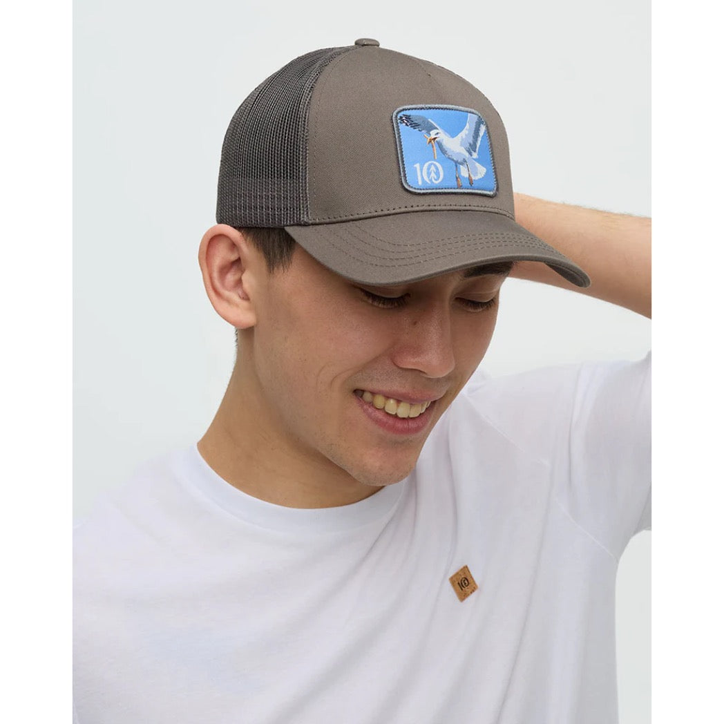 TENTREE - LAKE LOGO ALTITUDE HAT | Timber Seagull