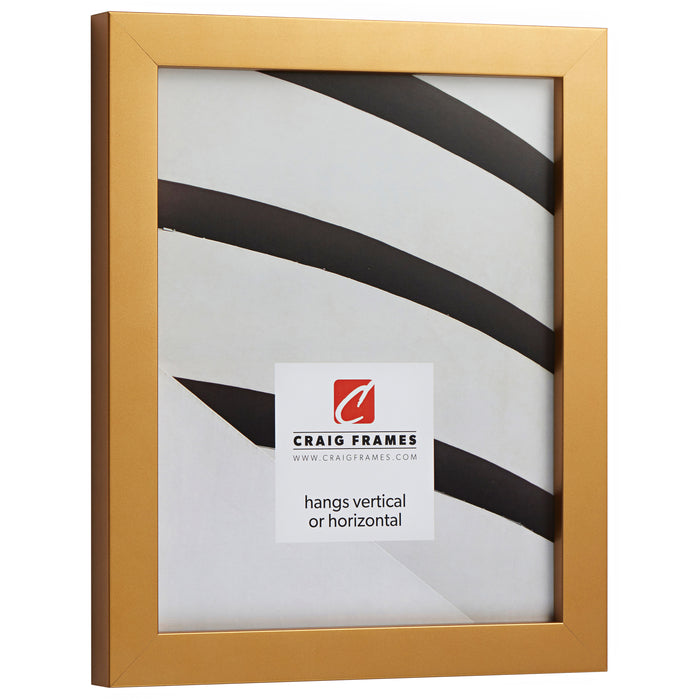 Confetti .875", Matted Gold Picture Frame
