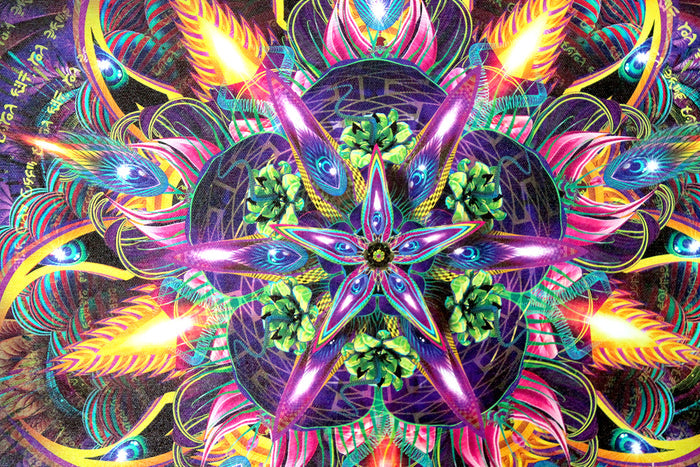 Sylvan Perception Stretched Canvas Print | Sacred Geometry Wall Art | Visionary Canvas Print | Psychedelic Home Decor