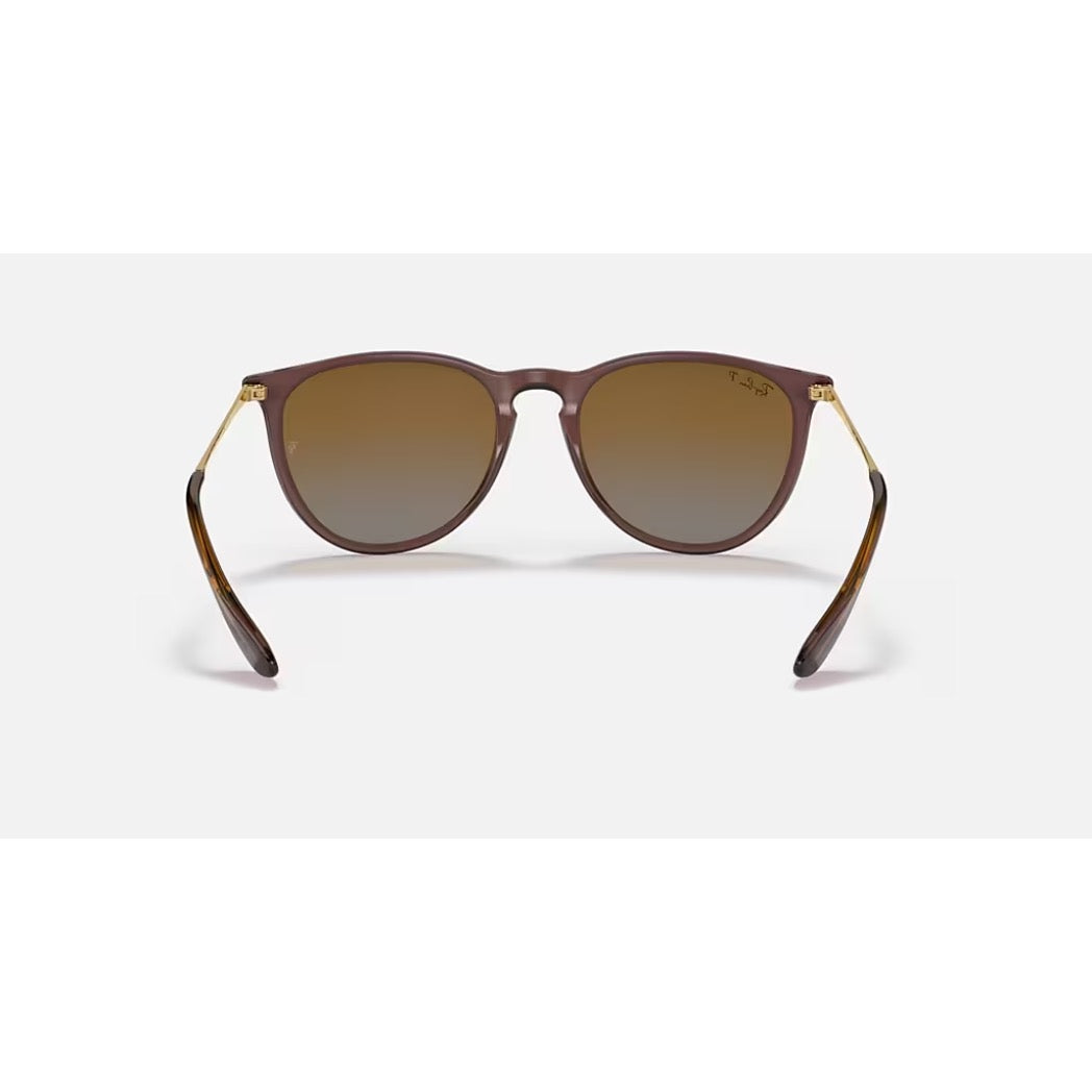 RAYBAN - ERIKA | Transparent Dark Brown w/ Brown Polarized