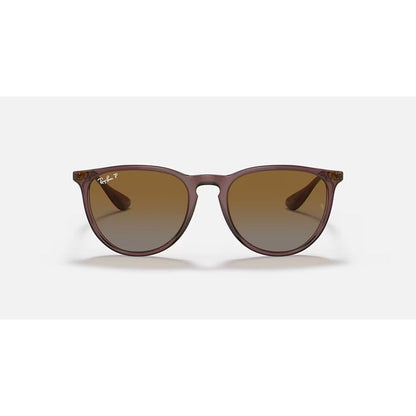 RAYBAN - ERIKA | Transparent Dark Brown w/ Brown Polarized