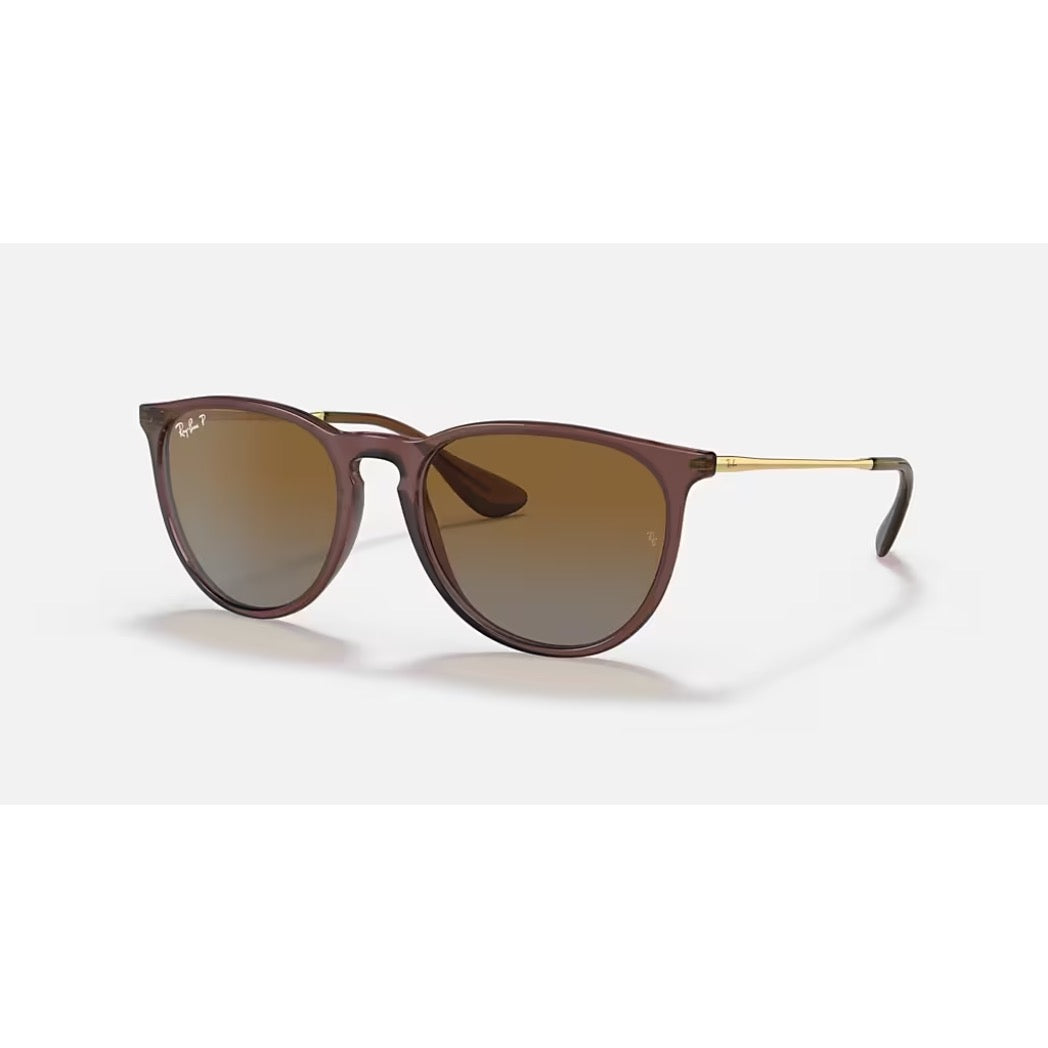 RAYBAN - ERIKA | Transparent Dark Brown w/ Brown Polarized