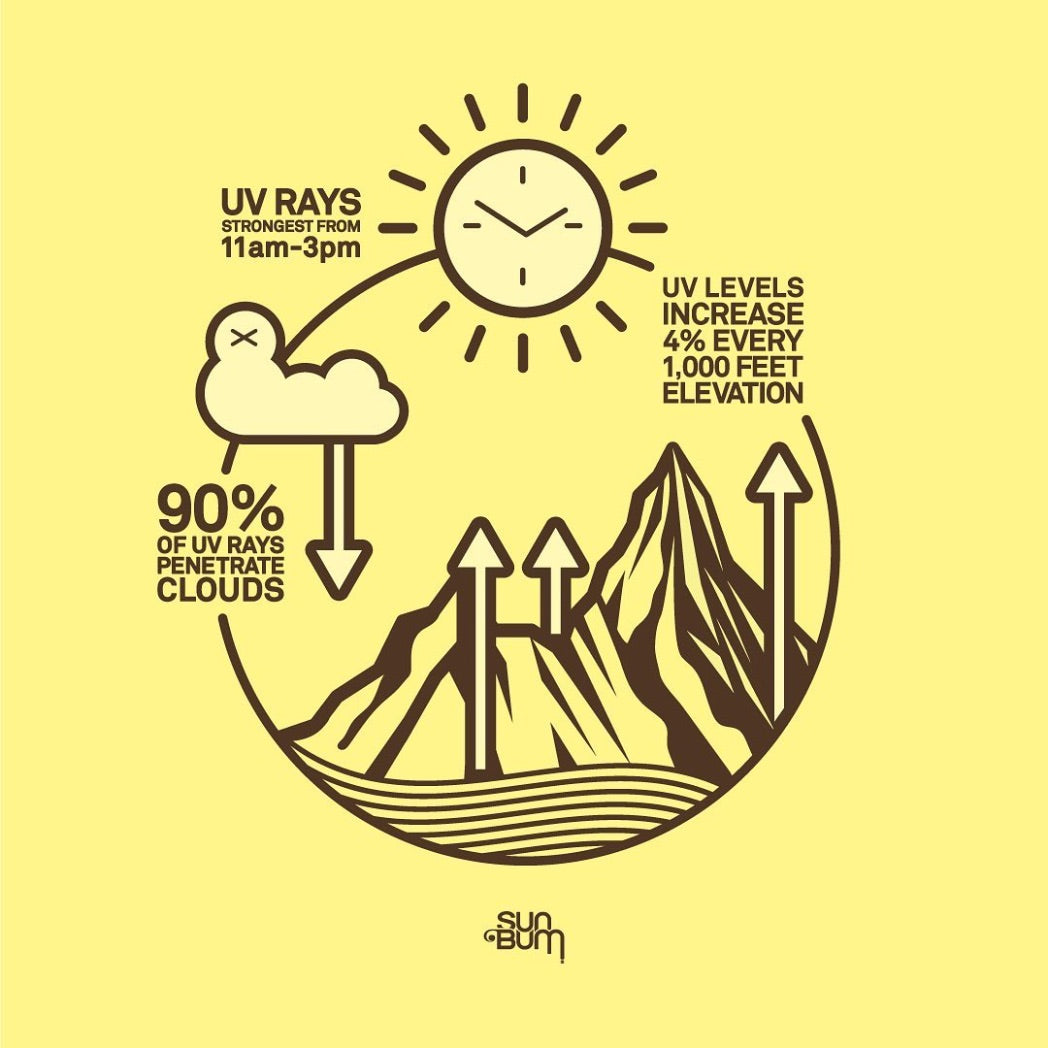 SUN BUM - Face Cream Sunscreen SPF 50