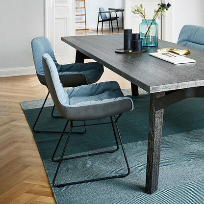 freifrau | leya armchair low | wire frame | avalon 0045 + sahara plaza leather ~ DC