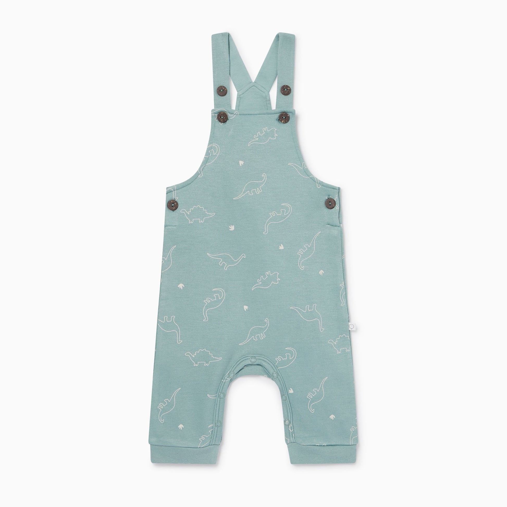 Dino Dungarees & Bodysuit Outfit