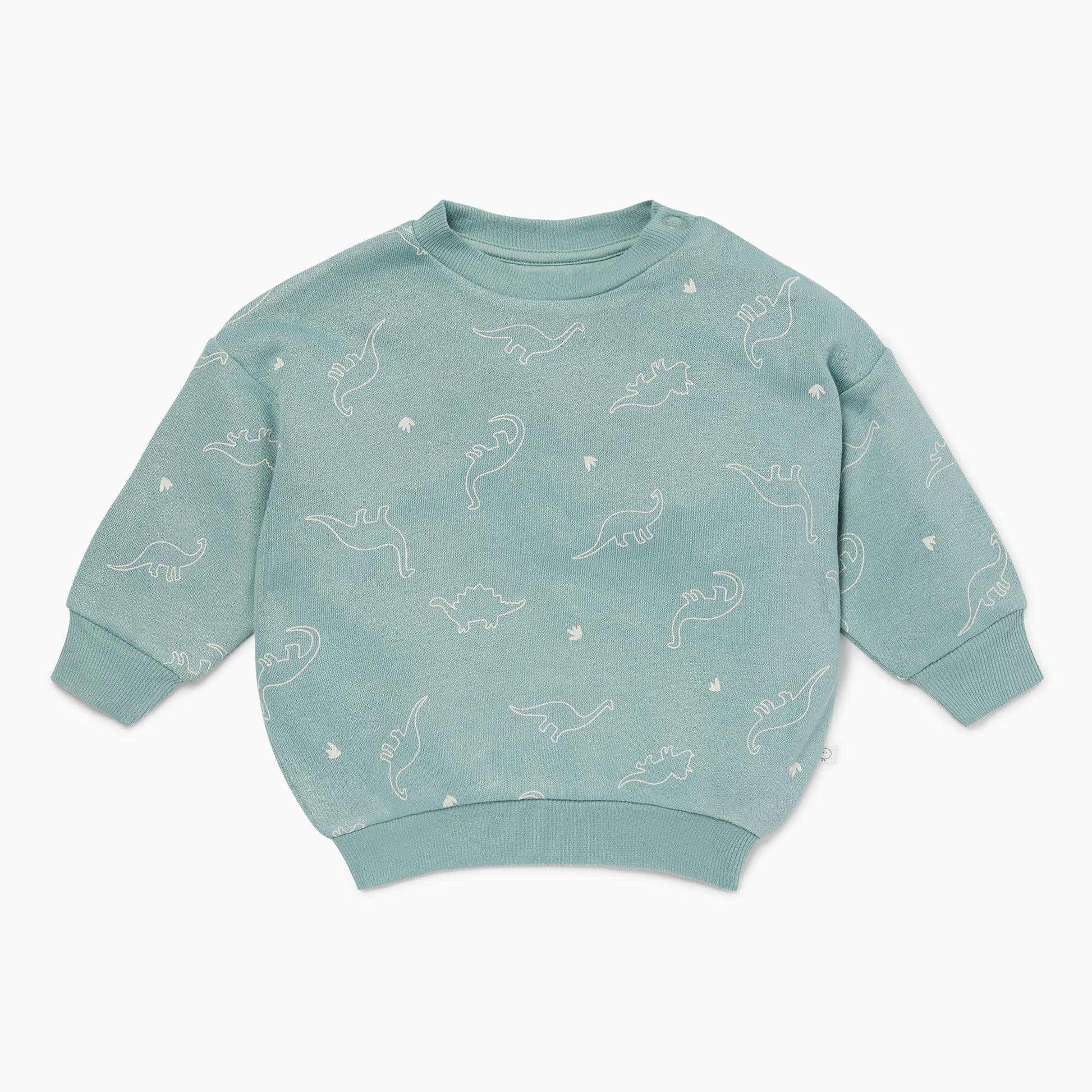Dino Print Sweatshirt
