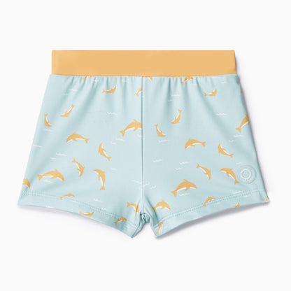 Dolphin Rash Vest & Shorts Set