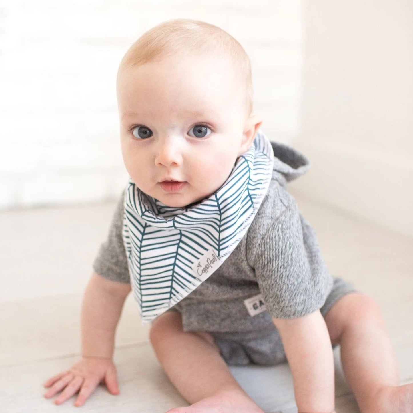 Cruise Baby Bandana Bibs