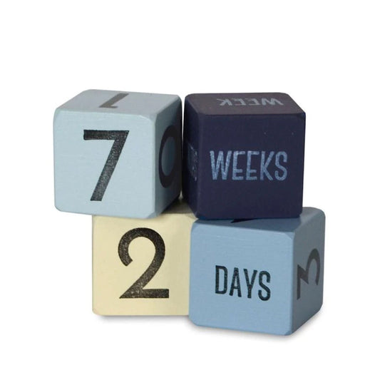 Blue Mini Age Blocks