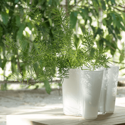 iittala | aalto savoy vase | white 16cm