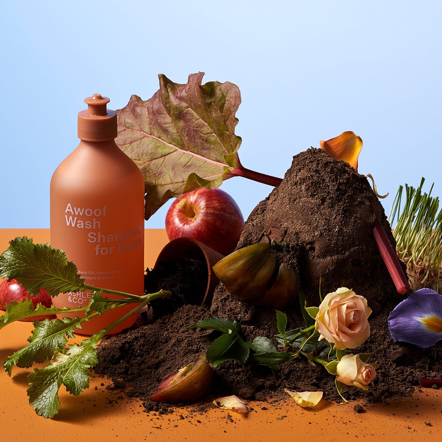 ashley + co | awoof wash dog shampoo