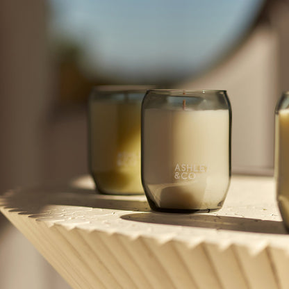 ashley + co | waxed perfume scented candle | tui + kahili
