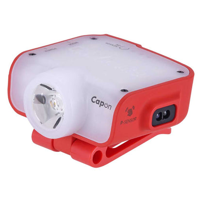 CAPON 80C