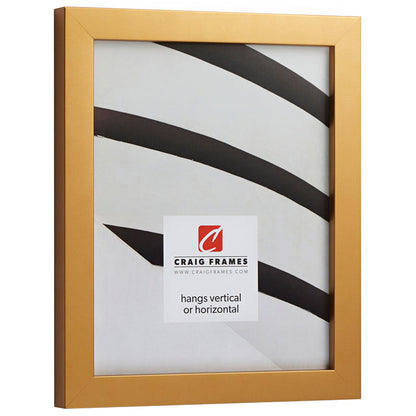 Confetti .875", Matted Gold Picture Frame