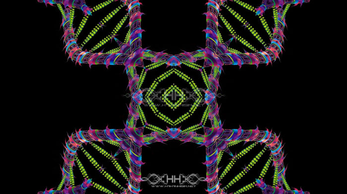 DNA Matrix Loop Pack