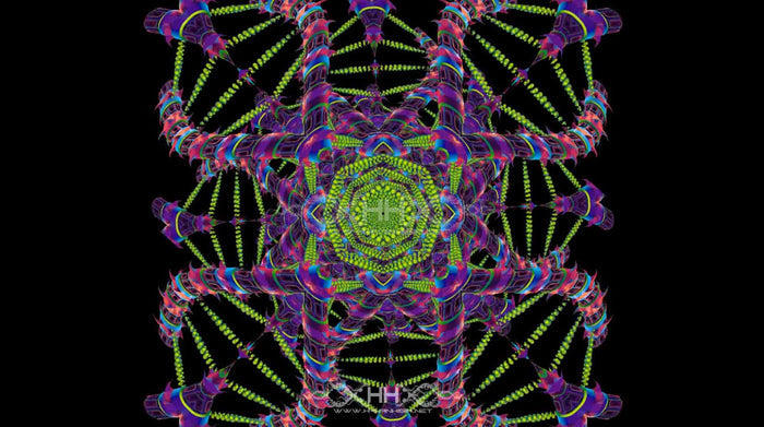 DNA Matrix Loop Pack