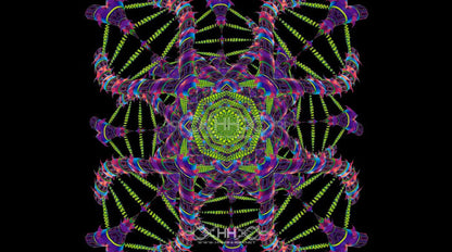 DNA Matrix Loop Pack