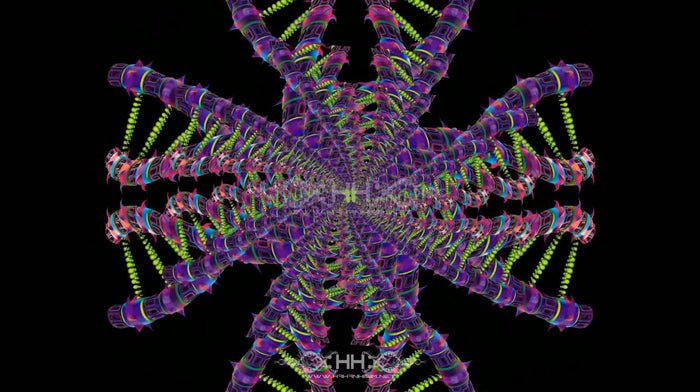 DNA Matrix Loop Pack