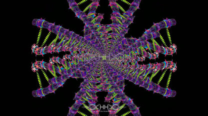DNA Matrix Loop Pack