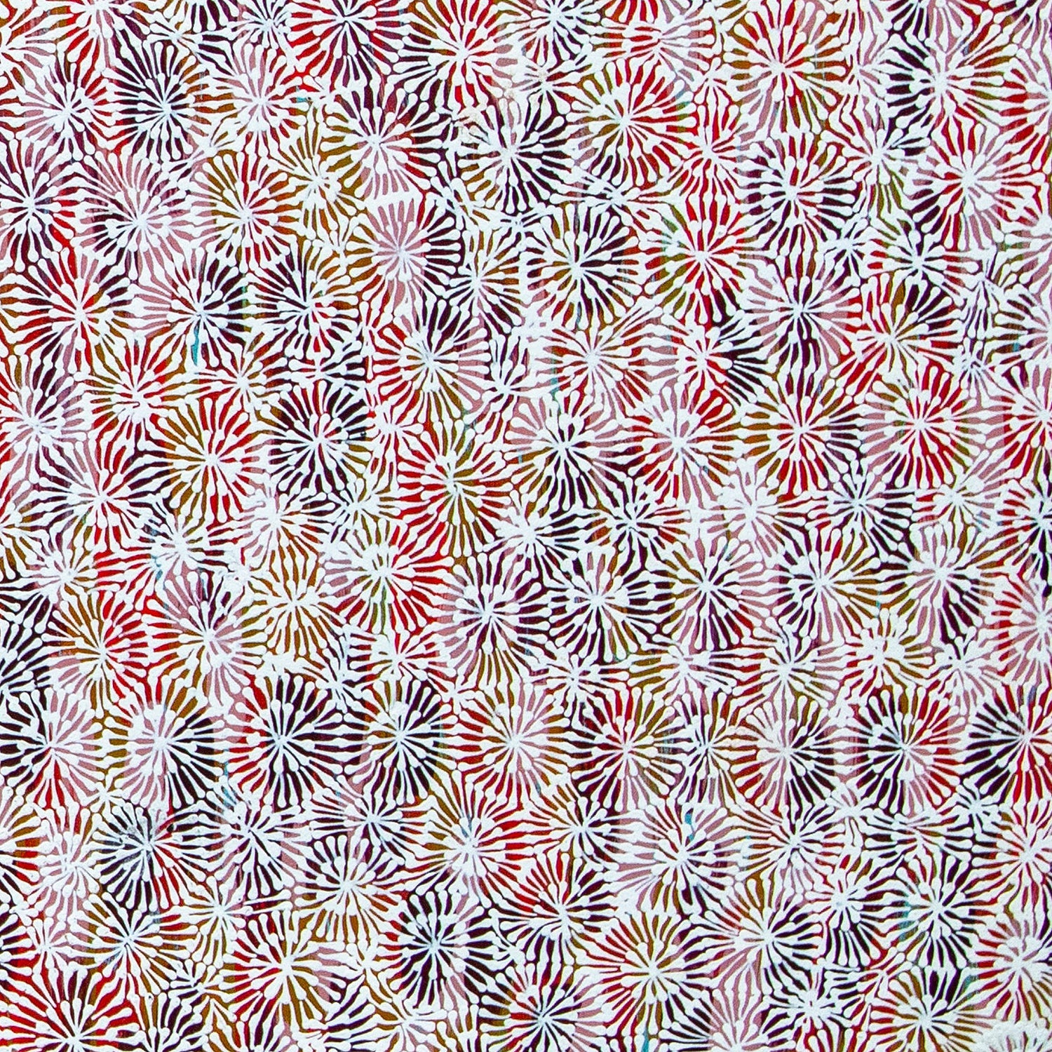 dorie jones | original artwork | bush flowers - ID38237