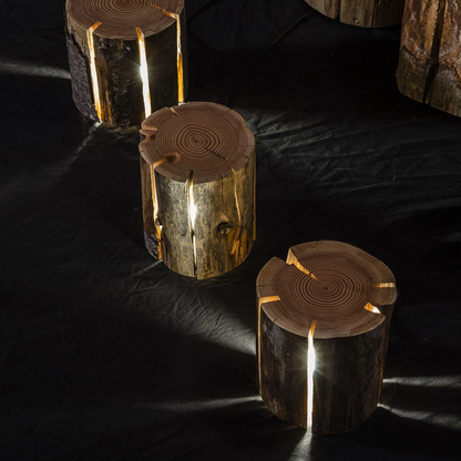 duncan meerding | cracked log lamp