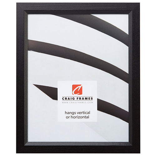Economy .875",  20x25 Ebony Hardwood Picture Frame