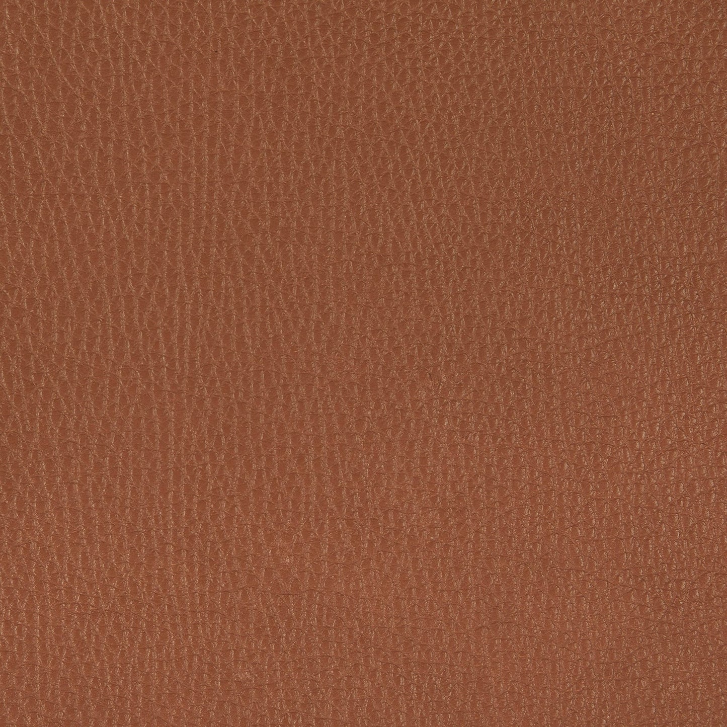 freifrau | leya chair | wire frame | cairo cognac leather