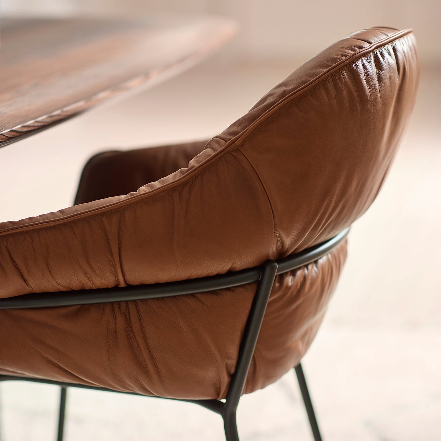 freifrau | low dining | marie armchair | adora walnut leather