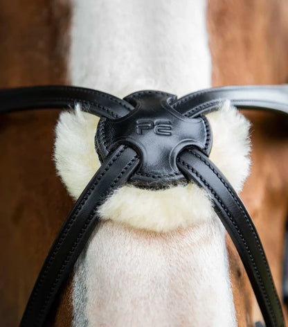 Glorioso Grackle Bridle