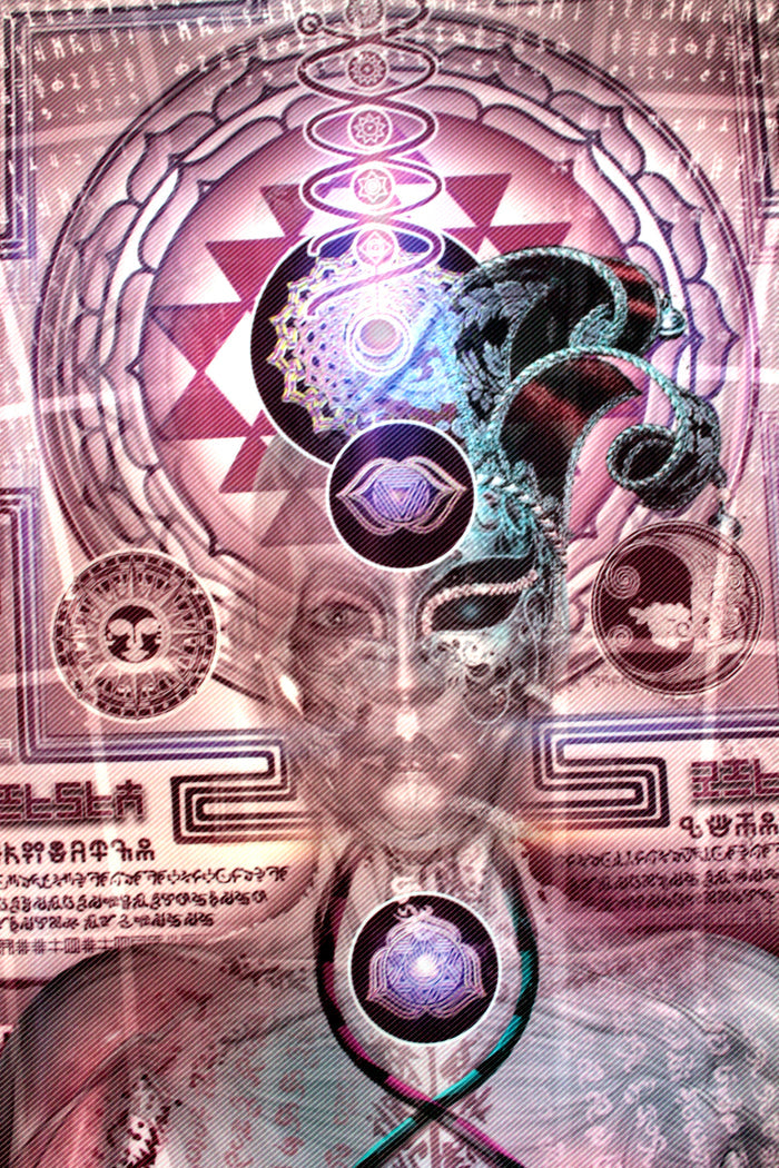 Large Lycra Tapestry / Backdrop of Toroidal Tantra