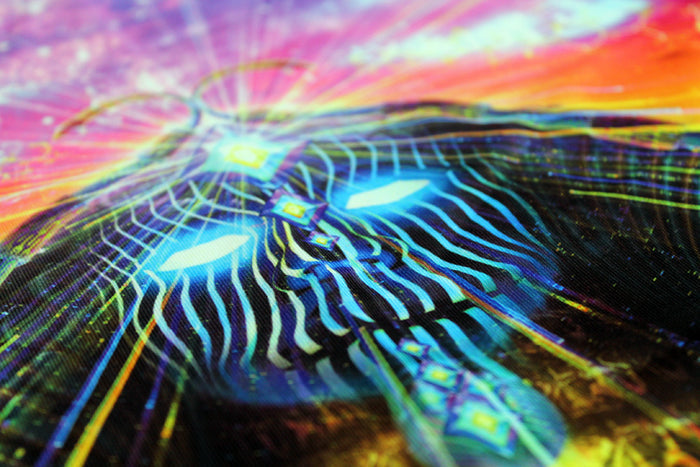 Lycra Tapestry / Backdrop of As Within So Without