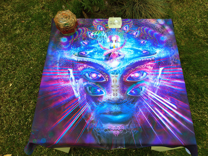 Lycra Tapestry / Backdrop of Internal Awareness