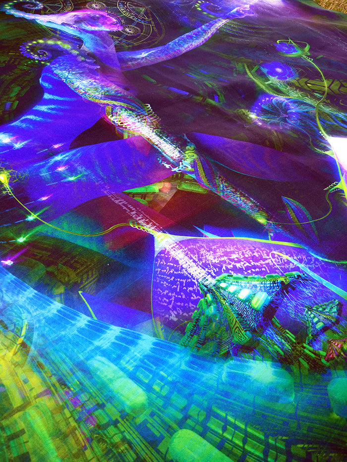 Lycra Tapestry / Backdrop of "Inward Convergence"