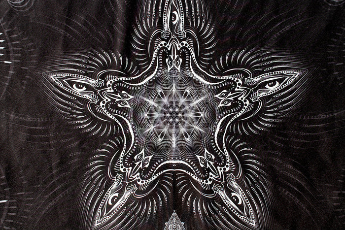 Lycra Tapestry / Backdrop of "Pandora's Box"