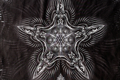 Lycra Tapestry / Backdrop of "Pandora's Box"