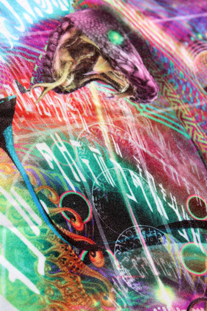 Lycra Tapestry / Backdrop of Reclaiming the Throne