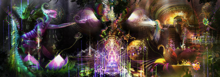 Lycra Tapestry / Backdrop of "Sacred Symbiosis"