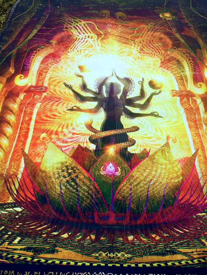 Lycra Tapestry / Backdrop of Temple of Scintillating Sights