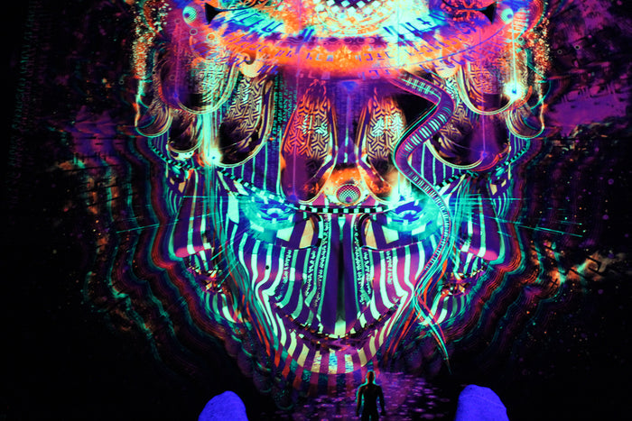 Neon UV Active Lycra Tapestry / Backdrop of Reclaiming the Throne