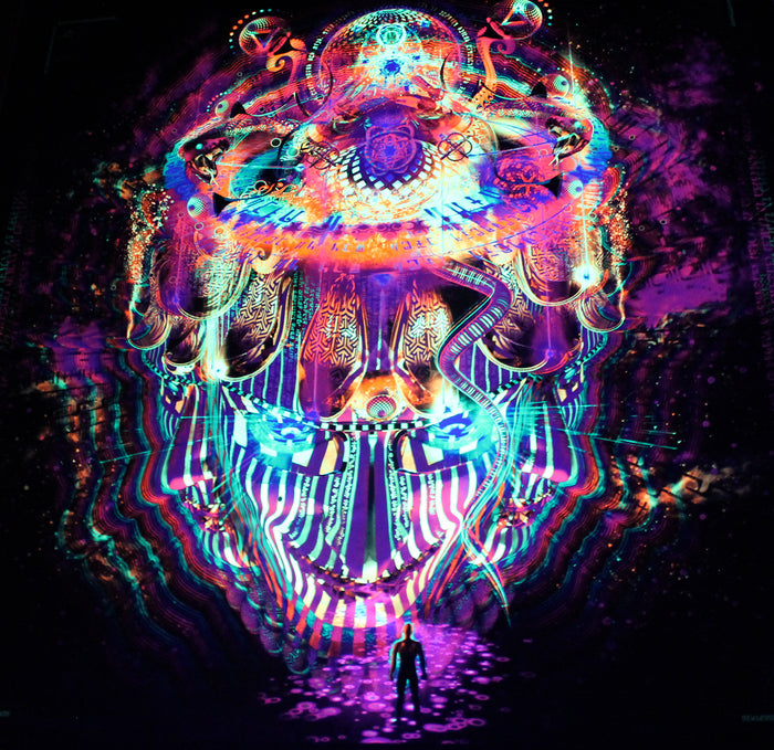 Neon UV Active Lycra Tapestry / Backdrop of Reclaiming the Throne