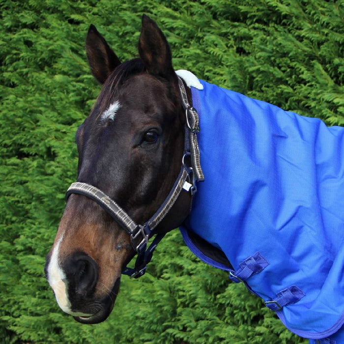 Pessoa Plaid Padded Halters