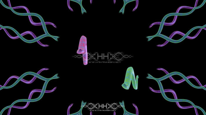 Snake Flow Loop Pack
