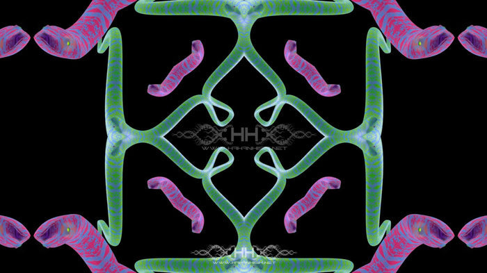 Snake Flow Loop Pack