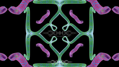 Snake Flow Loop Pack