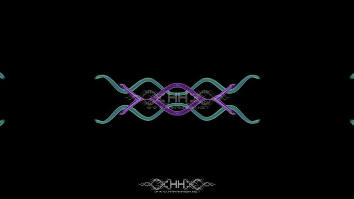 Snake Flow Loop Pack