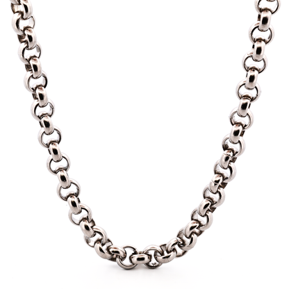 Stainless Steel Chain