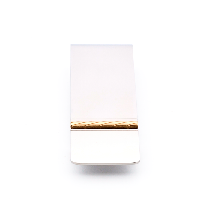 Stainless Steel Ion Plated Gold Money