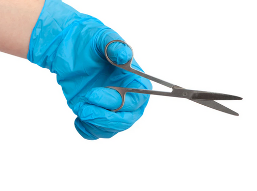 Stainless Steel Scissors 12pk