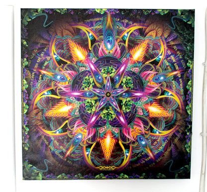Sylvan Perception Stretched Canvas Print | Sacred Geometry Wall Art | Visionary Canvas Print | Psychedelic Home Decor