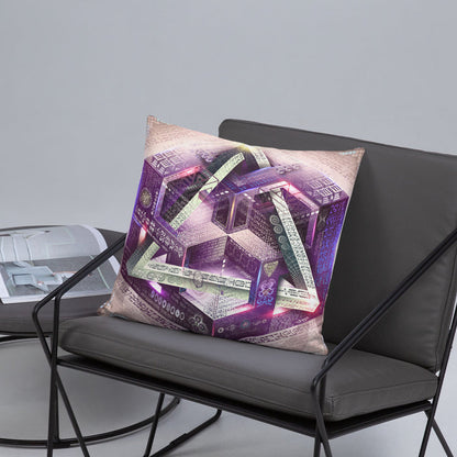 Translinguistic Equation Pillow